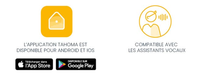 PICTO APPLICATIONS GOOGLE PLAY  / APP STORE ET ASSISTANT VOCAL